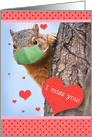 I Miss You Squirrel in Face Mask Coronavirus Social Distancing Humor card