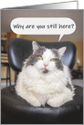 Thinking of You Funny Cat Coronavirus Lockdown Humor card