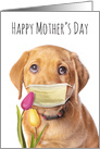 Happy Mother’s Day Puppy in Face Mask Coronavirus Lockdown Humor card