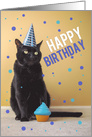 Happy Birthday Cat Social Distancing Coronavirus Lockdown Humor card