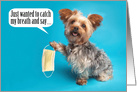 Happy Father’s Day Yorkie With Face Mask Coronavirus Humor card