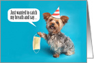 Happy Birthday Yorkie Dog With Face Mask Coronavirus Pandemic Humor card