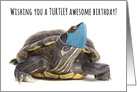 Happy Birthday Turtle With Face Mask Coronavirus Pandemic Humor card