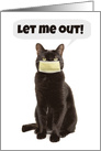 Thinking of You Cat in Face Mask Wanting Out Covid-19 Humor card