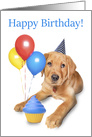 Happy Birthday Cute Labrador Puppy With Balloons and Cupcake card