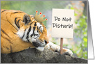 Happy Birthday Tiger King With Do Not Disturb Sign card