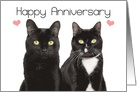 Happy Anniversary Purrfect Cat Couple Humor card