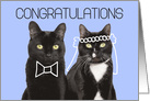 Congratulations on Your Wedding Cute Cat Couple Humor card