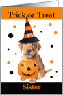 Happy Halloween Sister Cute Puppy in Costume Humor card