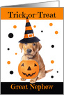 Happy Halloween Great Nephew Cute Puppy in Costume Humor card