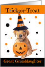 Happy Halloween Great Granddaughter Cute Puppy in Costume Humor card