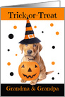 Happy Halloween Grandparents Cute Puppy in Costume Humor card