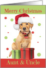 Merry Christmas Aunt and Uncle Cute Lab Puppy in Santa Hat Humor card