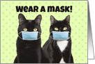 Wear A Mask Funny Cats in Coronavirus Face Masks card