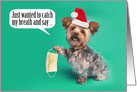 Merry Christmas Yorkie Dog Holding Coronavirus Face Mask Humor card