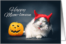 Happy Halloween For Anyone Cat in Devil Costume Humor card