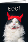 Happy Halloween For Anyone Cute Cat in Devil Costume Humor card