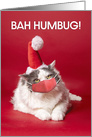 Merry Christmas Bah Humbug Cat in Coronavirus Face Mask Humor card