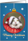 Merry Christmas Cute Cat in Santa Hat on Ornament Humor card