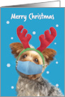 Merry Christmas Yorkie Dog in Reindeer Ears and Face Mask Humor card