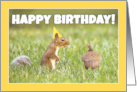 Happy Birthday Squirrel With Big Acorn Humor card
