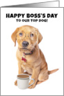Happy Boss’s Day Top Dog Humor card