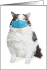 I Miss Seeing Your Face Fat Cat in Coronavirus Face Mask Humor card