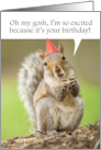 Happy Birthday For Anyone Cute Squirrel in Party Hat Humor card