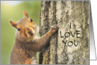 I Love You Cute Squirrel Climbing Tree Photograph card