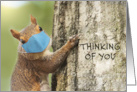 Thinking of You Cute Squirrel in Coronavirus Face Mask card