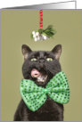 Merry Christmas Cat in Bow Tie Under Mistletoe Humor card
