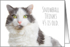 Happy Birthday Cat Thinks 45 Is Old Humor card