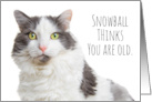 Happy Birthday Cat Thinks You Are Old Humor card