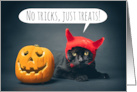 Happy Halloween Funny Cat in Devil Costume With Jack o Lantern card