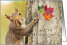 Happy Thanksgiving Cute Squirrel With Fall Leaves on Tree Photograph card