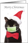 Merry Christmas Cute Cat in Santa Hat and Coronavirus Mask Humor card