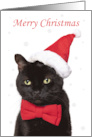 Merry Christmas Cute Cat in Santa Hat and Bow Tie Humor card