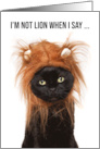 Happy Birthday For Anyone Cute Cat in Lion Costume Humor card