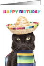 Happy Birthday Cute Black Cat in Sombrerro and Poncho Humor card