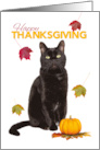 Happy Thanksgiving Cute Black Cat With Fall Leaves card