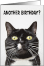 Happy Birthday Funny Cat in Your Face Humor card