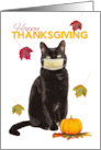 Happy Thanksgiving Cat in Coronavirus Face Mask Humor card