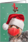 Merry Christmas Yorkshire Terrier in Face Mask and Santa Hat Humor card