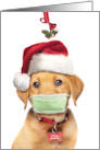 Merry Christmas Labrador Puppy in Face Mask and Santa Hat Humor card