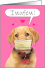 I Love You Talking Puppy in Coronavirus Face Mask Humor card