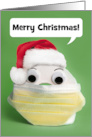 Merry Christmas Toilet Paper in Coronavirus Face Mask Humor card