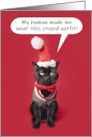 Merry Christmas Funny Cat Dressed in Holiday Outfit Humor card