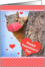 Happy Valentine’s Day Squirrel in Covid Face Mask Humor card