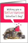 Happy Valentine’s Day Turtle in Covid Face Mask Humor card