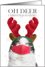 Merry Christmas Cute Cat in Reindeer Ears and Face Mask Humor card